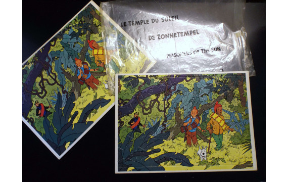 Rare Puzzle du Chèque Tintin Le Temple su soleil 